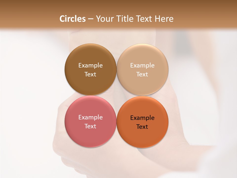 Species Mediterranean Birdwatching PowerPoint Template