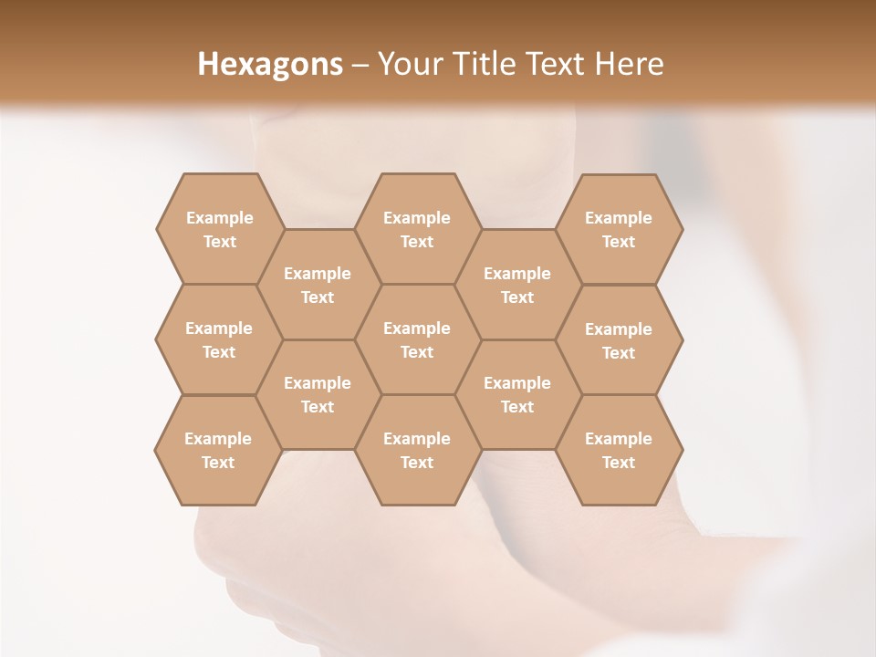 Species Mediterranean Birdwatching PowerPoint Template