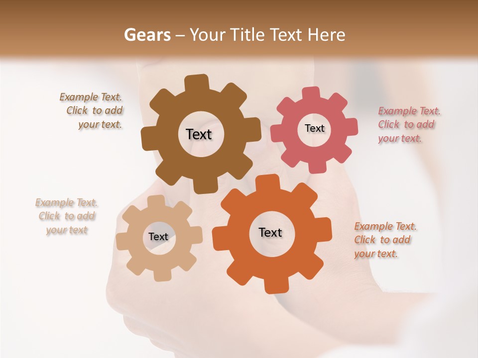 Species Mediterranean Birdwatching PowerPoint Template