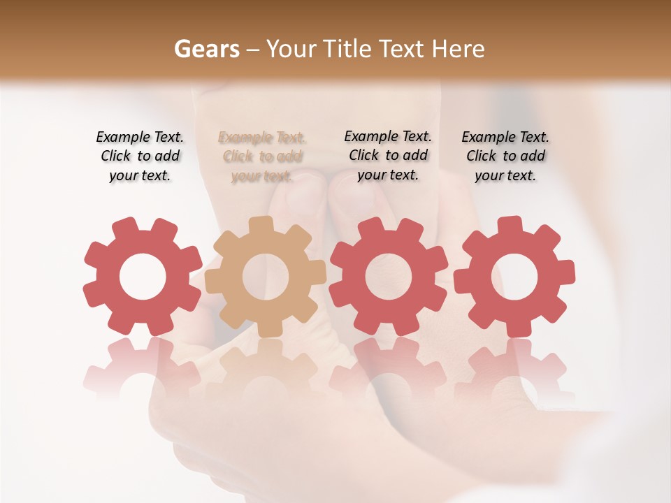 Species Mediterranean Birdwatching PowerPoint Template