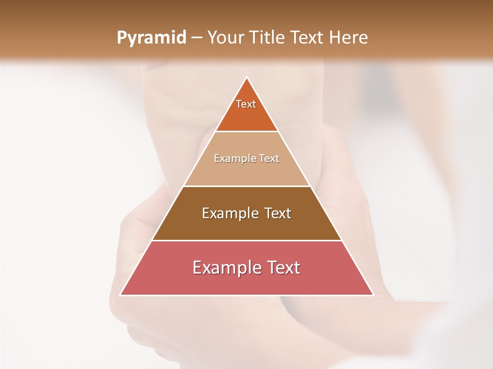 Species Mediterranean Birdwatching PowerPoint Template