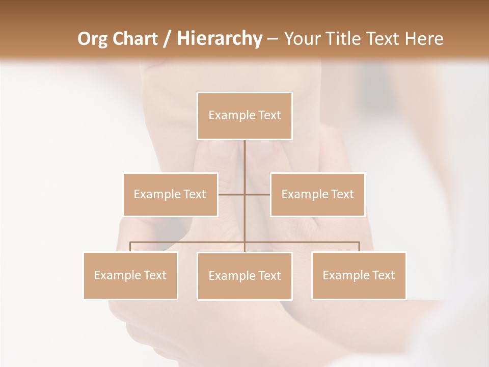 Species Mediterranean Birdwatching PowerPoint Template