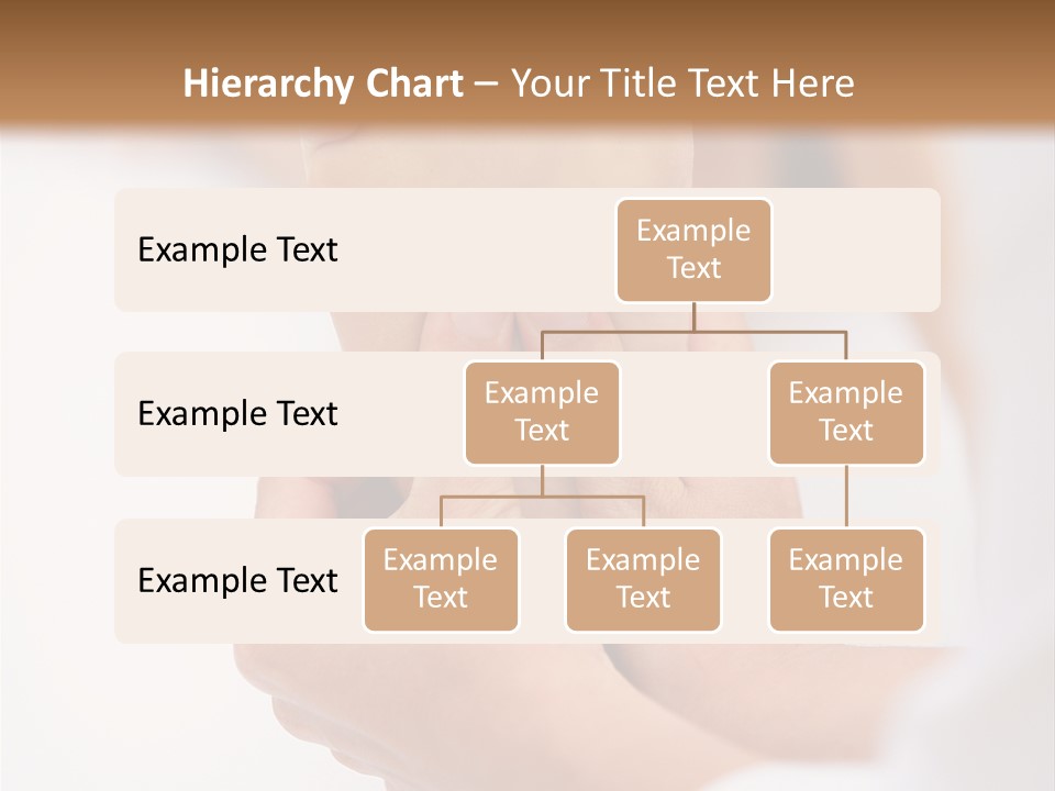 Species Mediterranean Birdwatching PowerPoint Template