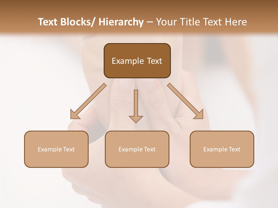 Species Mediterranean Birdwatching PowerPoint Template