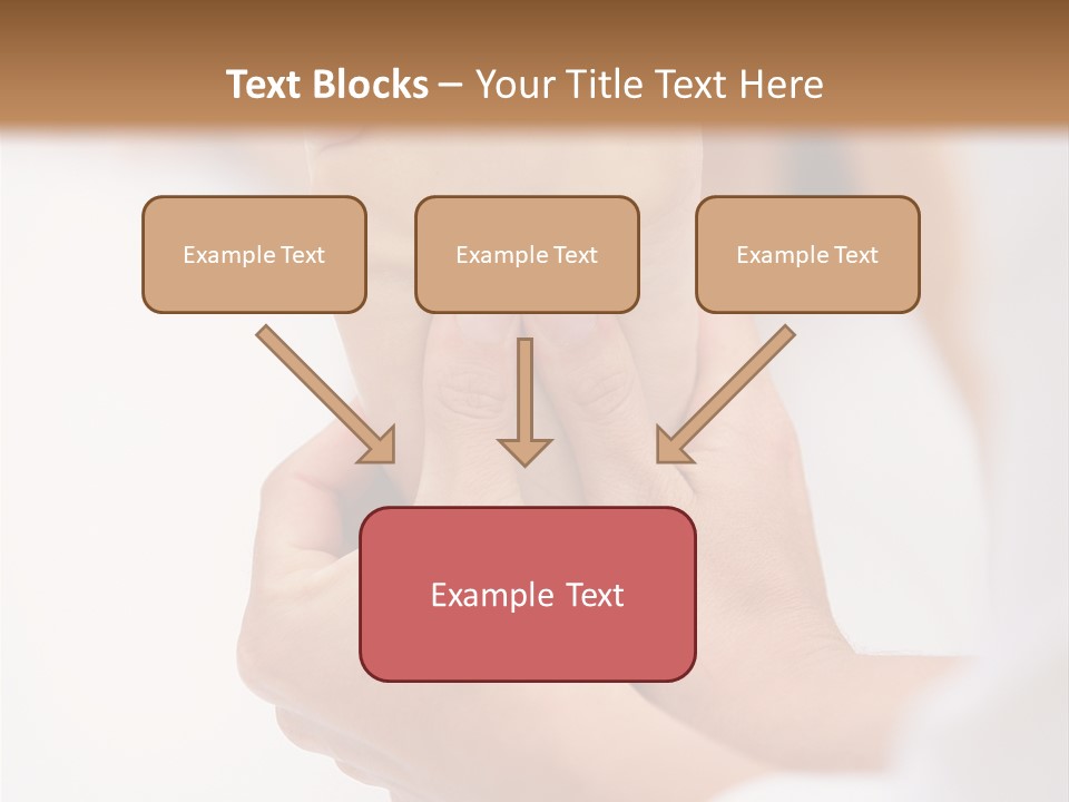Species Mediterranean Birdwatching PowerPoint Template