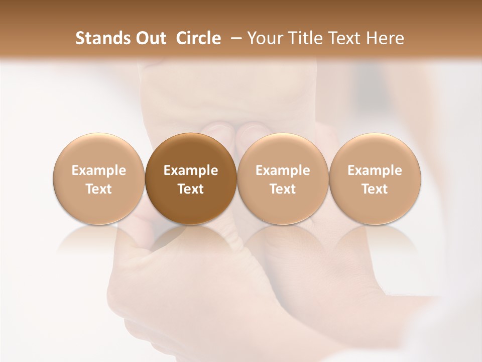 Species Mediterranean Birdwatching PowerPoint Template