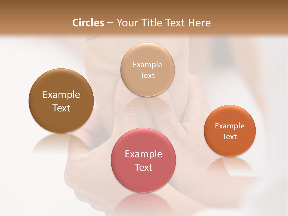 Species Mediterranean Birdwatching PowerPoint Template