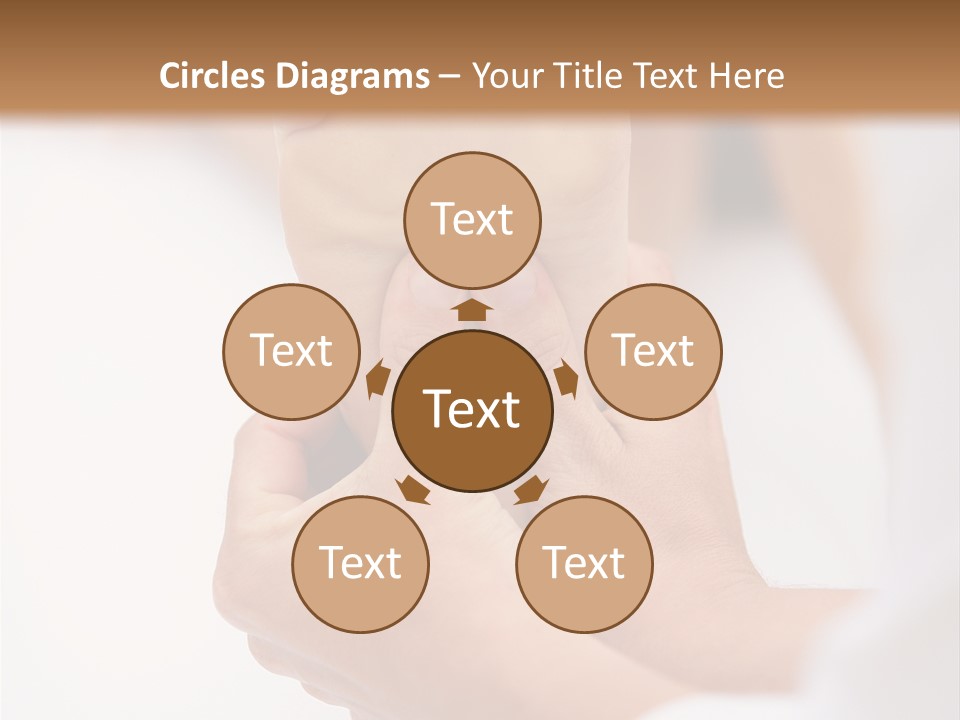 Species Mediterranean Birdwatching PowerPoint Template