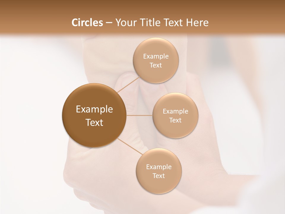 Species Mediterranean Birdwatching PowerPoint Template