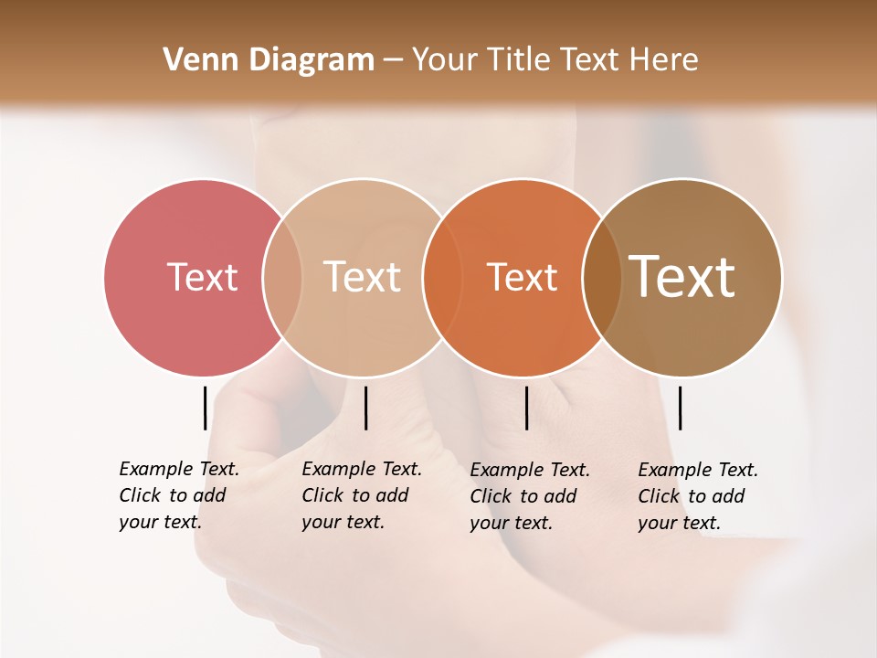Species Mediterranean Birdwatching PowerPoint Template