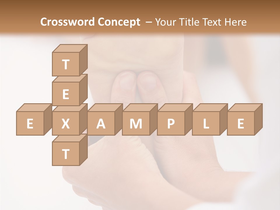 Species Mediterranean Birdwatching PowerPoint Template