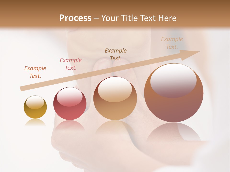 Species Mediterranean Birdwatching PowerPoint Template