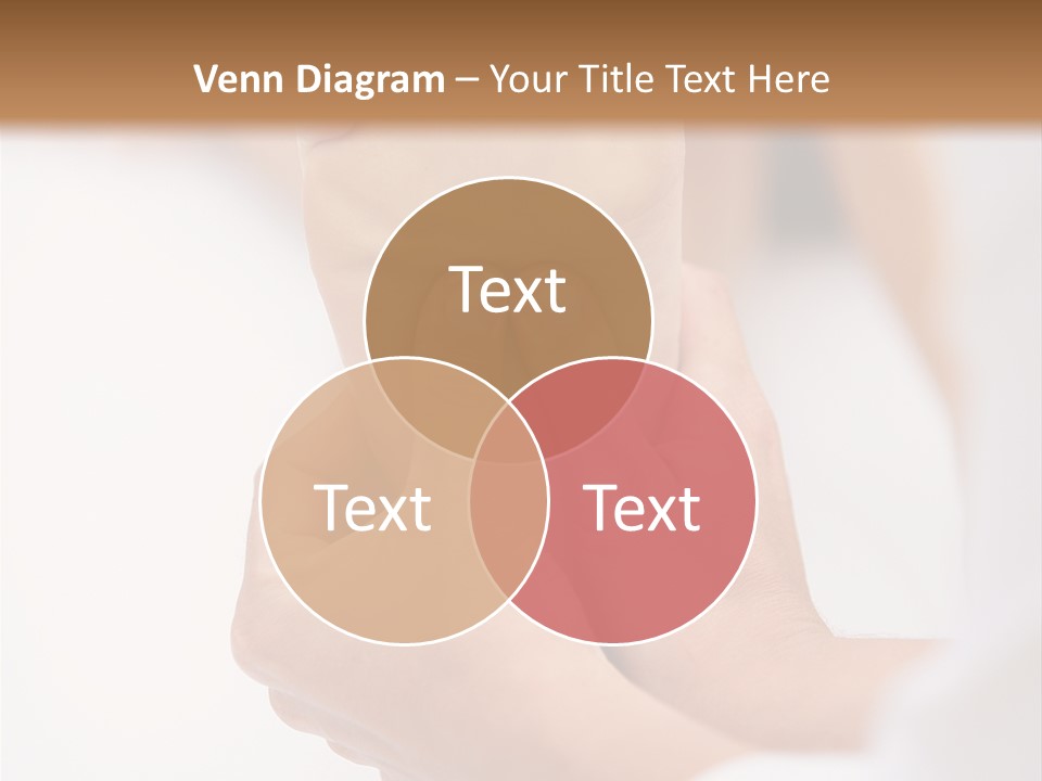 Species Mediterranean Birdwatching PowerPoint Template