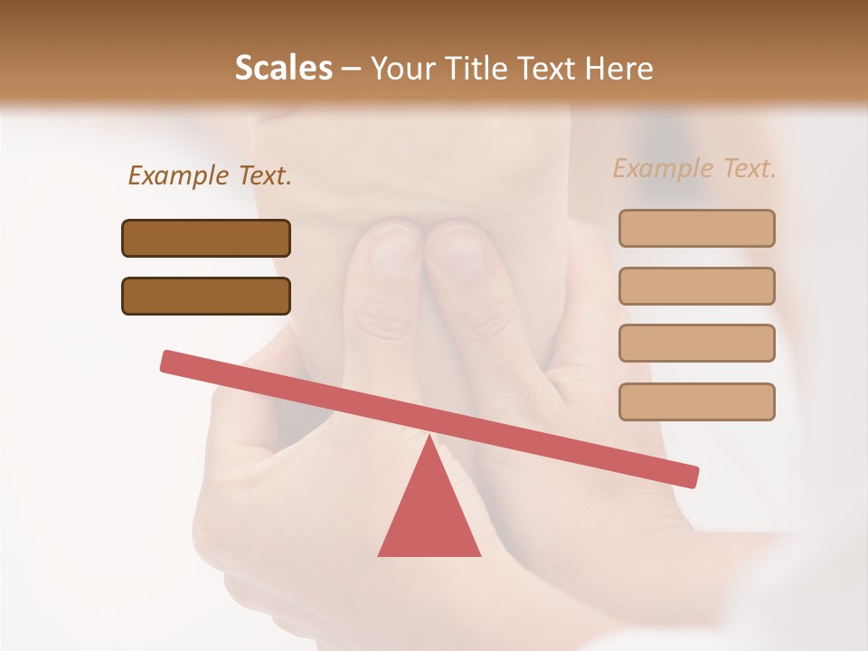 Species Mediterranean Birdwatching PowerPoint Template