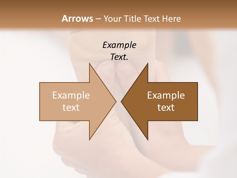 Species Mediterranean Birdwatching PowerPoint Template