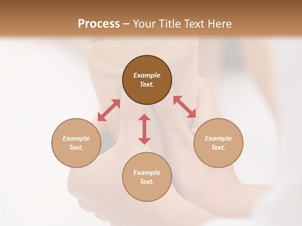 Species Mediterranean Birdwatching PowerPoint Template