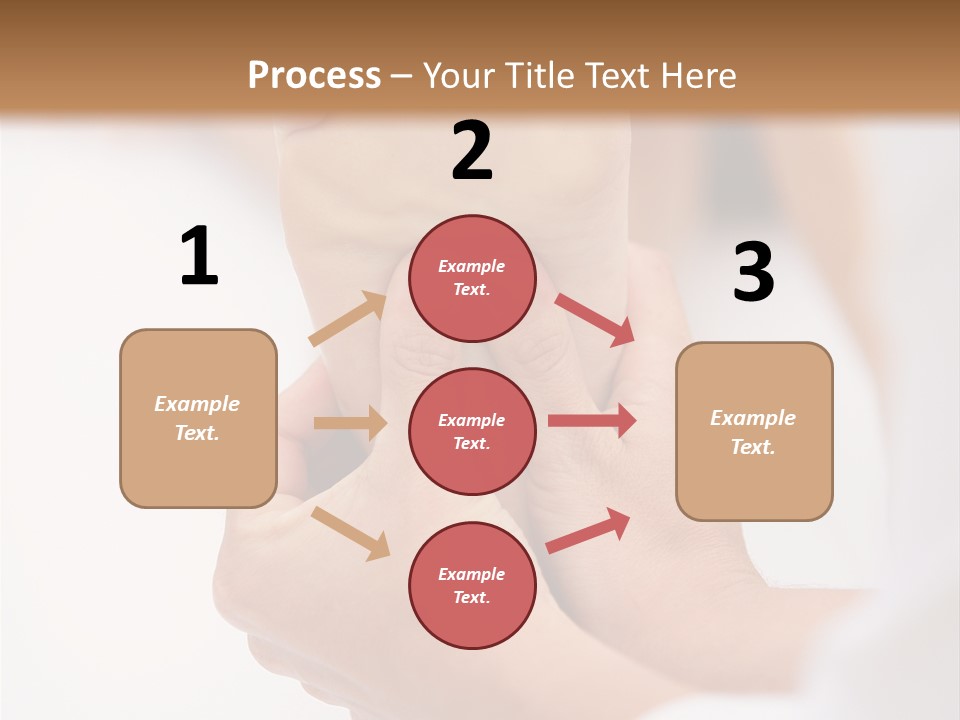 Species Mediterranean Birdwatching PowerPoint Template