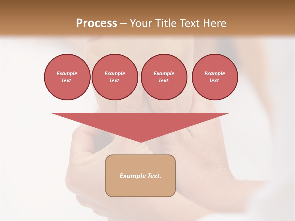 Species Mediterranean Birdwatching PowerPoint Template