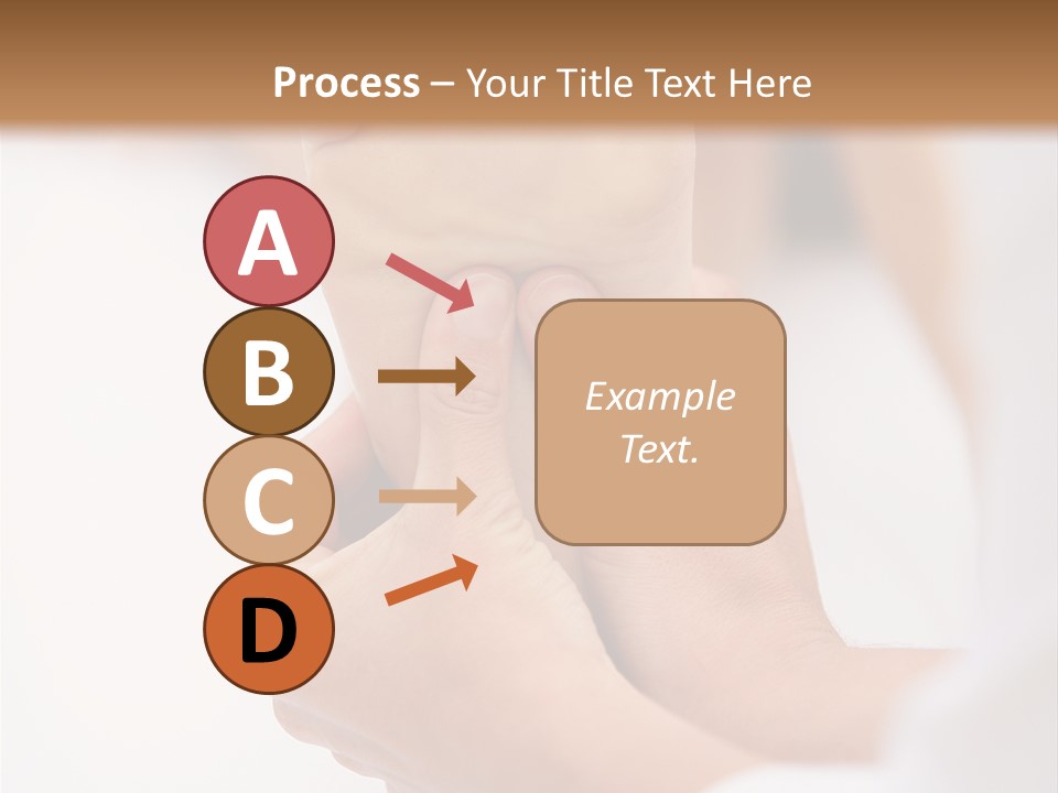 Species Mediterranean Birdwatching PowerPoint Template