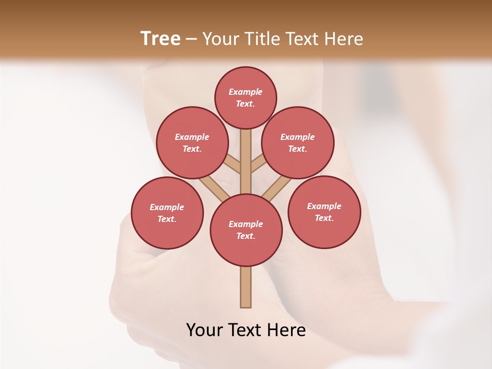 Species Mediterranean Birdwatching PowerPoint Template
