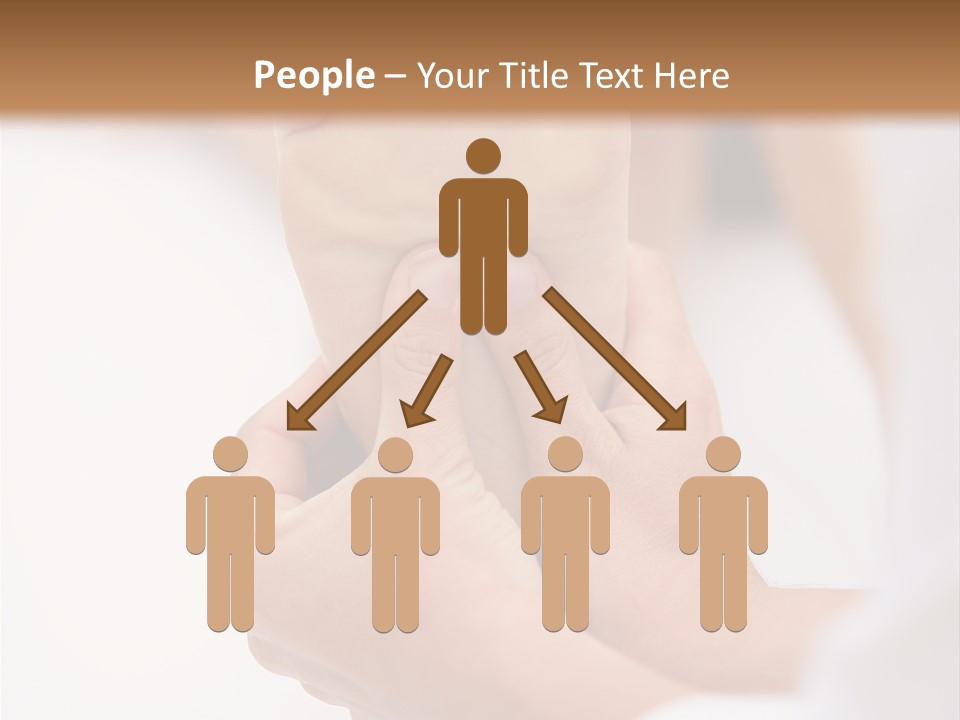 Species Mediterranean Birdwatching PowerPoint Template