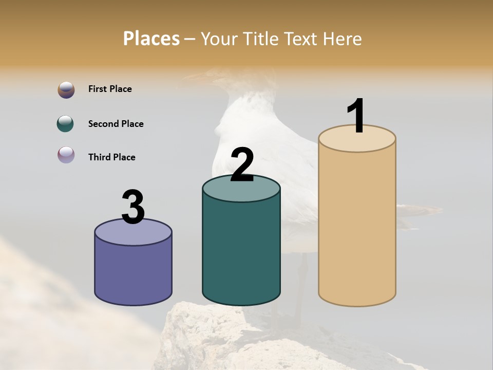 Species Mediterranean Birdwatching PowerPoint Template