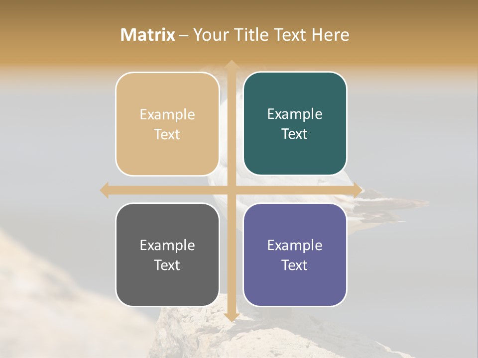 Species Mediterranean Birdwatching PowerPoint Template