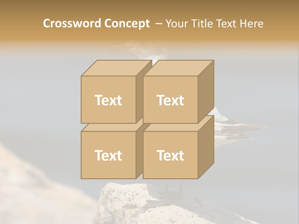 Species Mediterranean Birdwatching PowerPoint Template