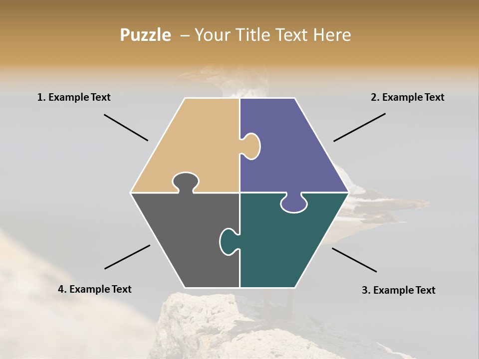 Species Mediterranean Birdwatching PowerPoint Template