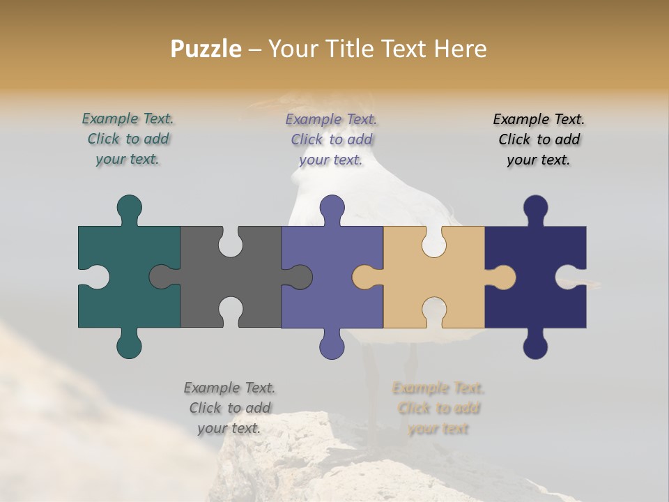 Species Mediterranean Birdwatching PowerPoint Template