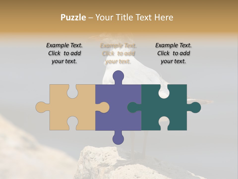 Species Mediterranean Birdwatching PowerPoint Template