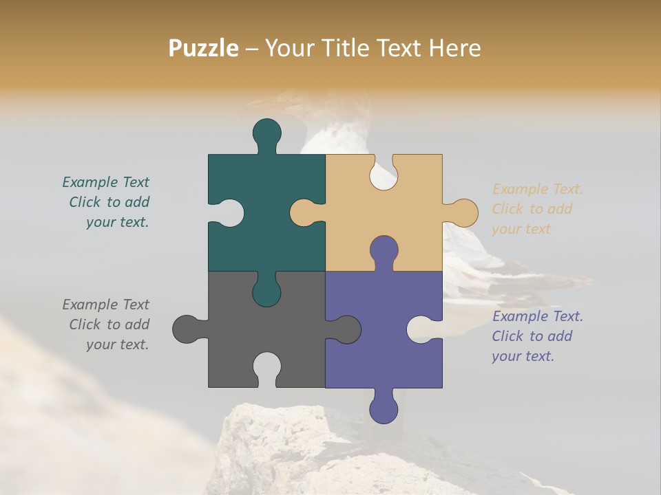 Species Mediterranean Birdwatching PowerPoint Template