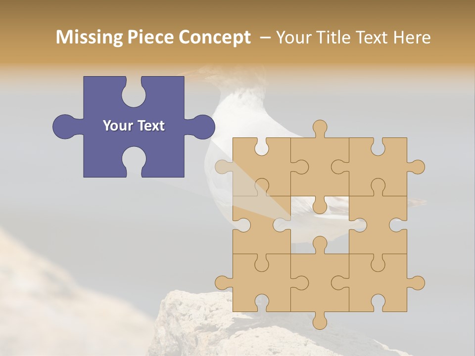 Species Mediterranean Birdwatching PowerPoint Template