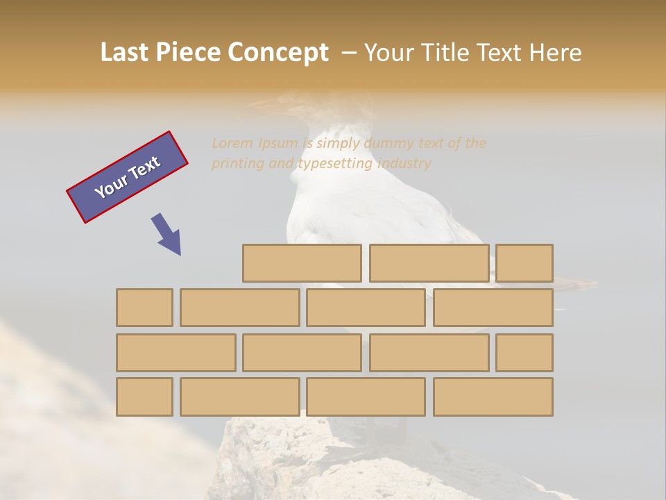 Species Mediterranean Birdwatching PowerPoint Template