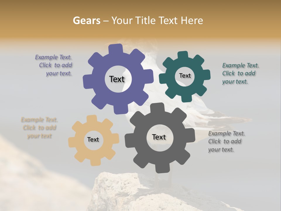 Species Mediterranean Birdwatching PowerPoint Template