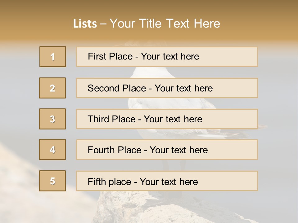 Species Mediterranean Birdwatching PowerPoint Template