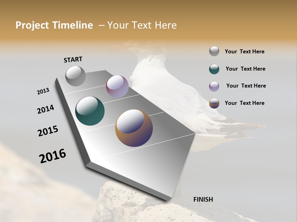 Species Mediterranean Birdwatching PowerPoint Template