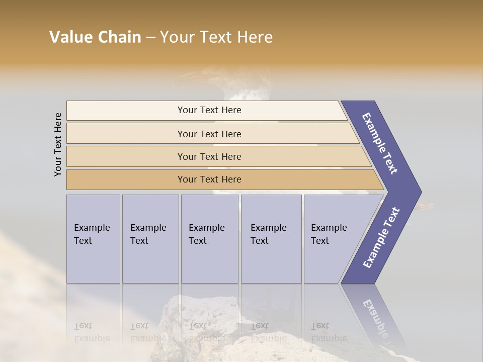 Species Mediterranean Birdwatching PowerPoint Template