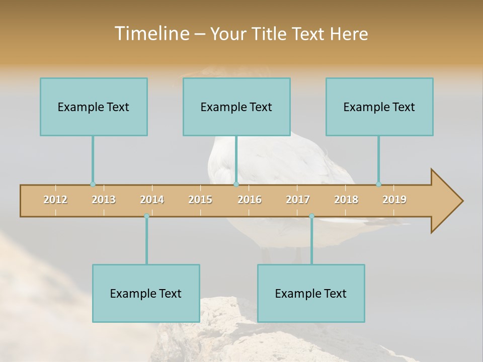 Species Mediterranean Birdwatching PowerPoint Template