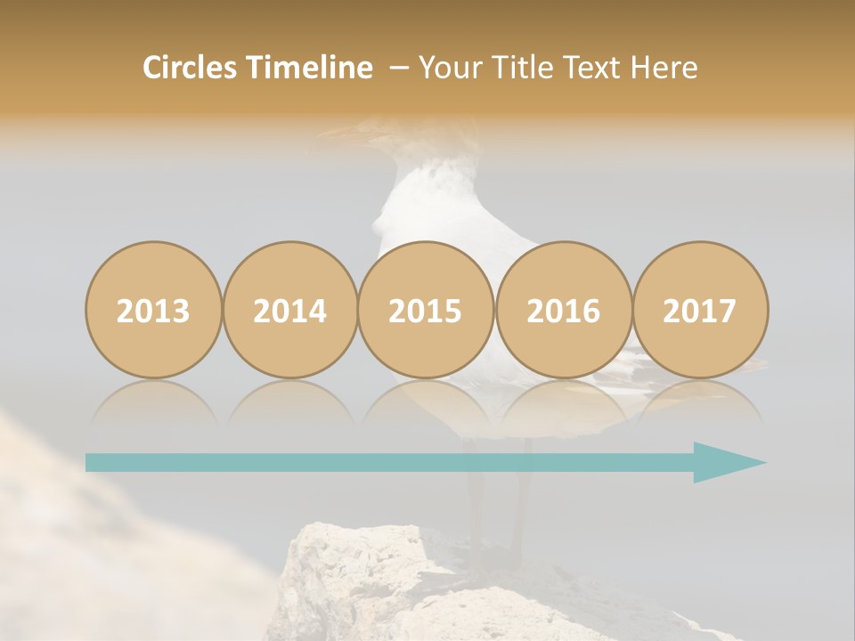 Species Mediterranean Birdwatching PowerPoint Template