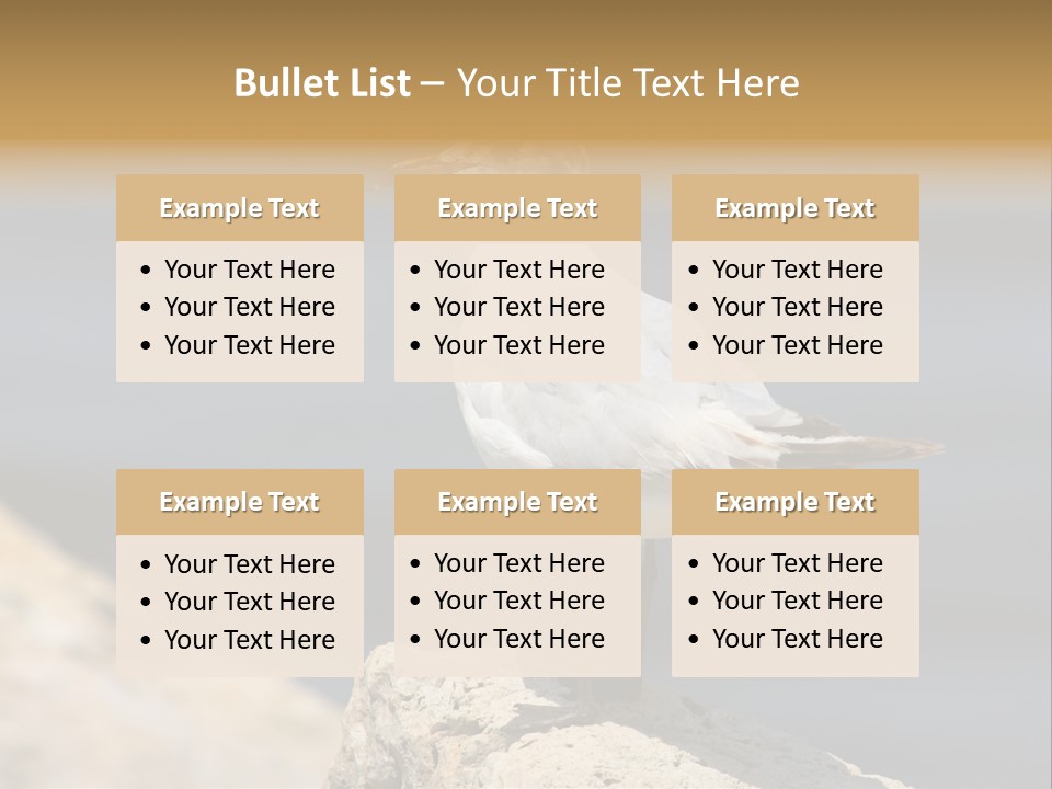 Species Mediterranean Birdwatching PowerPoint Template