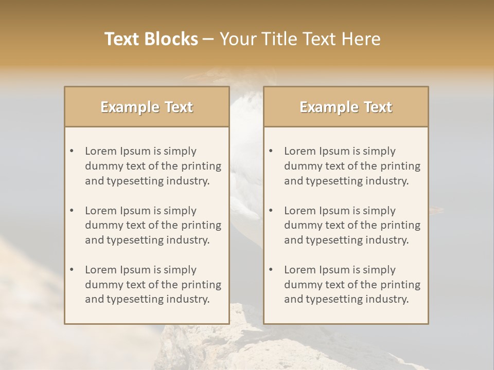 Species Mediterranean Birdwatching PowerPoint Template
