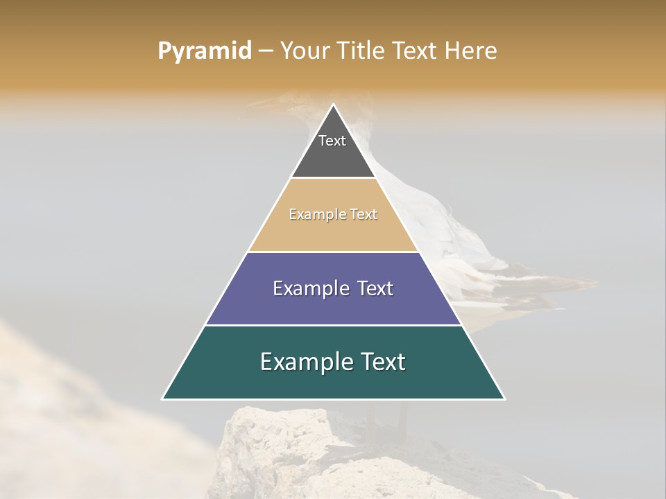 Species Mediterranean Birdwatching PowerPoint Template