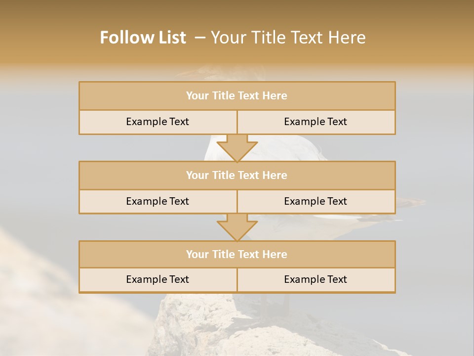 Species Mediterranean Birdwatching PowerPoint Template