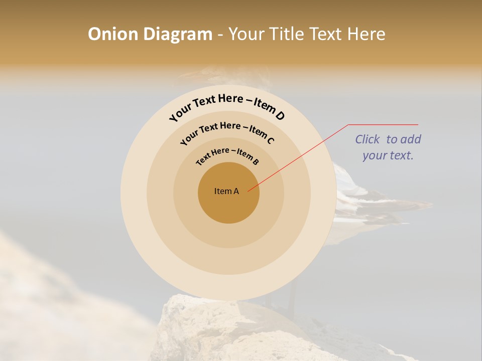 Species Mediterranean Birdwatching PowerPoint Template