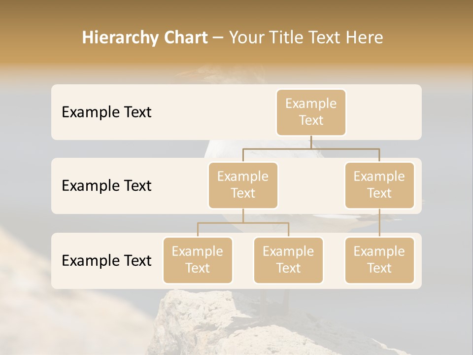 Species Mediterranean Birdwatching PowerPoint Template