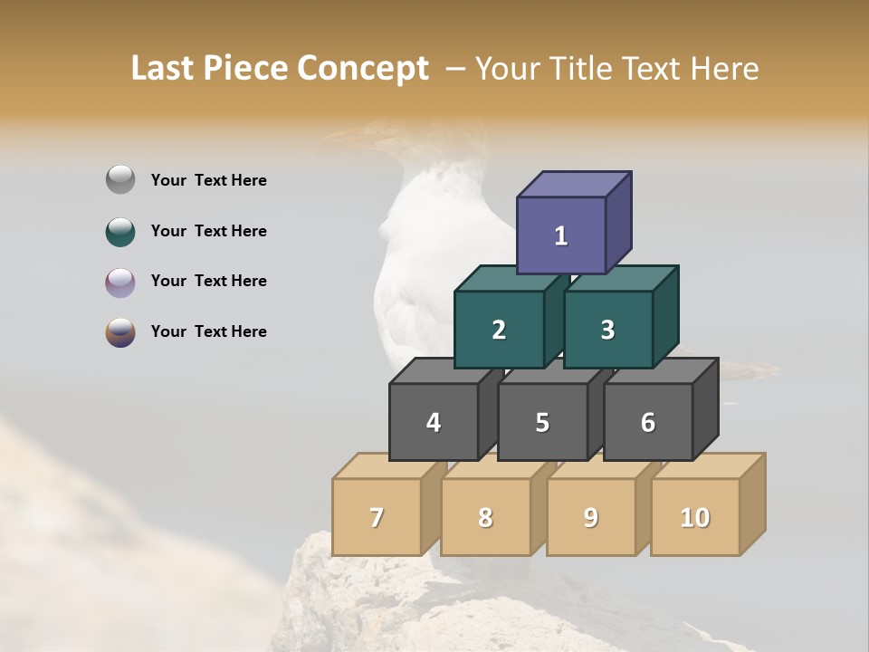 Species Mediterranean Birdwatching PowerPoint Template