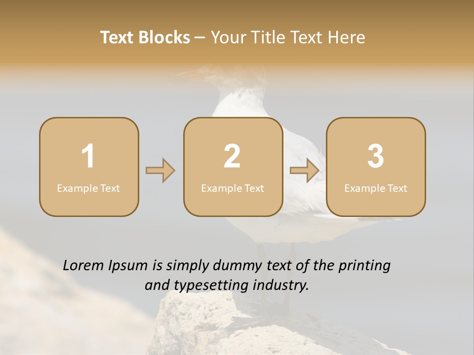 Species Mediterranean Birdwatching PowerPoint Template