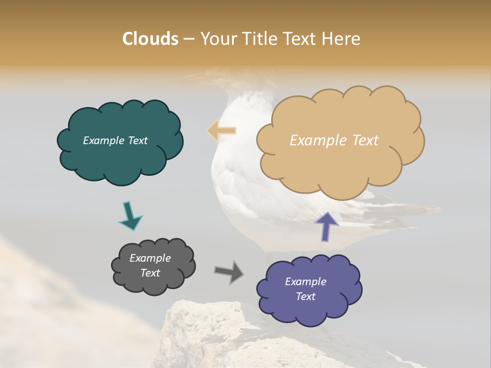 Species Mediterranean Birdwatching PowerPoint Template