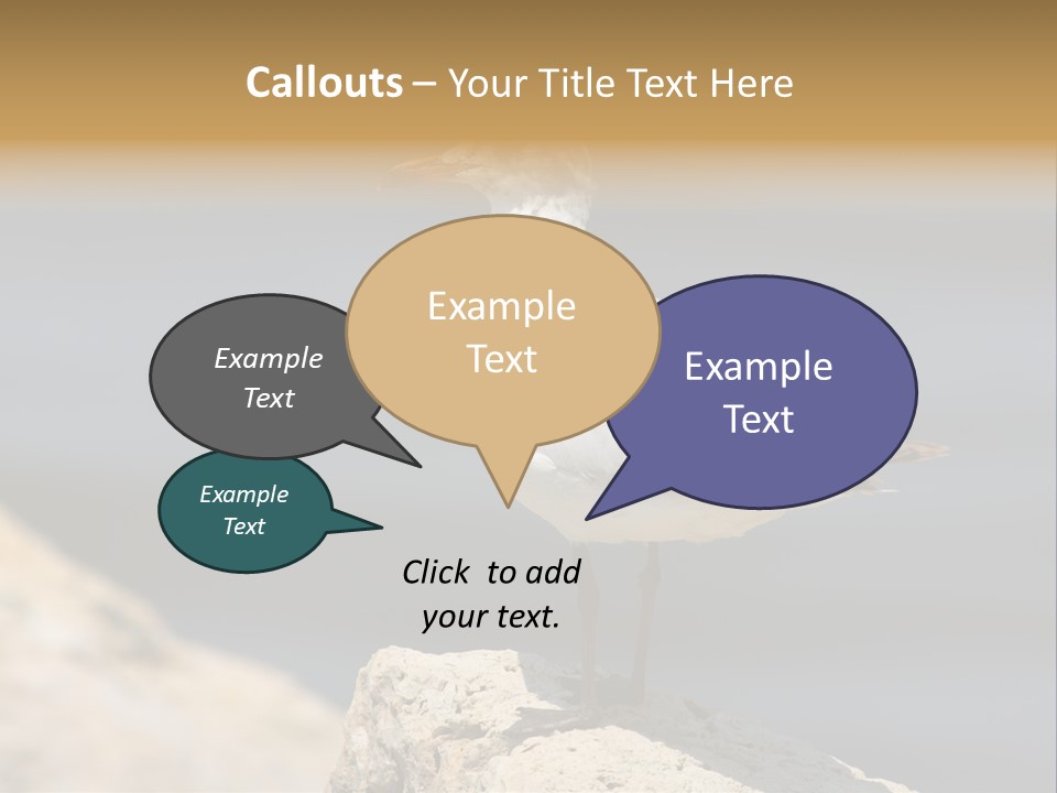 Species Mediterranean Birdwatching PowerPoint Template